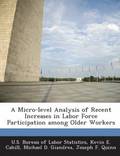 A Micro-Level Analysis of Recent Increases in Labor Force Participation Among Older Workers
