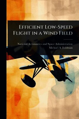 Efficient Low-Speed Flight in a Wind Field