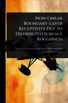 Non-Linear Boundary-Layer Receptivity Due to Distributed Surface Roughness