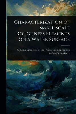 Characterization of Small Scale Roughness Elements on a Water Surface