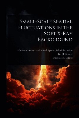 Small-Scale Spatial Fluctuations in the Soft X-Ray Background