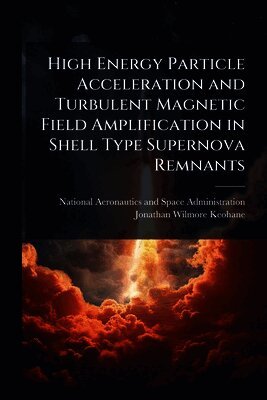 High Energy Particle Acceleration and Turbulent Magnetic Field Amplification in Shell Type Supernova Remnants