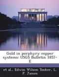 Gold in Porphyry Copper Systems