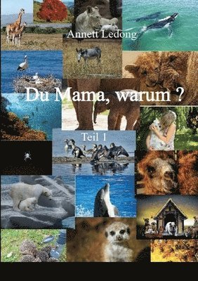 Annett Ledong - Du Mama, warum ...?, Häftad