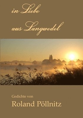 Roland Pollnitz - in Liebe aus Langwedel, Häftad