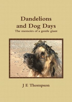 J.E. Thompson - Dandelions and Dog Days - The memoirs of a gentle giant, Häftad