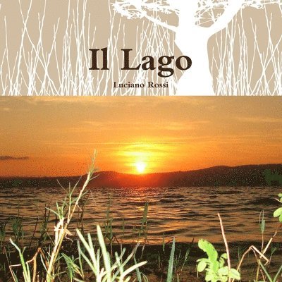 Luciano Rossi - Lago, Häftad. Tillgänglighet: Lägg i varukorg