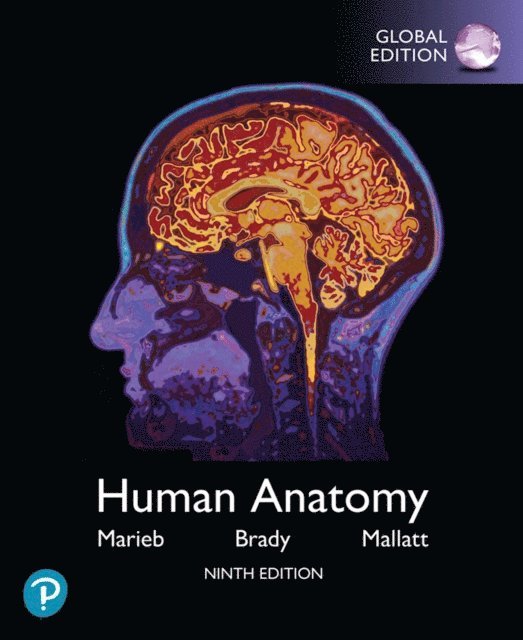 Jon B. Mallatt, Patricia M. Brady, Elaine N. Marieb - Human Anatomy, Global Edition, E-bok