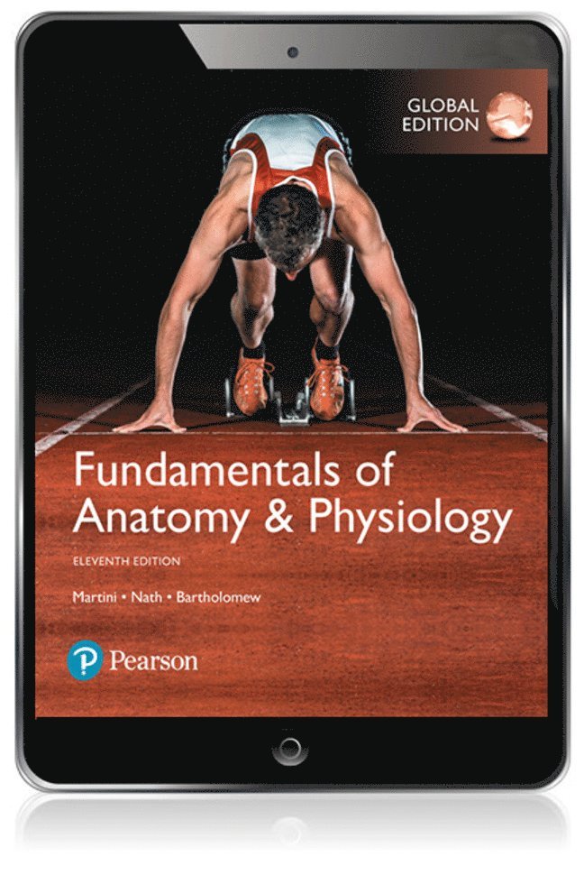 Frederic Martini, Frederic H. Martini, Judi Nath, Edwin Bartholomew - Fundamentals of Anatomy and Physiology, Global Edition, Övrigt. Tillgänglighet: Lägg i varukorg