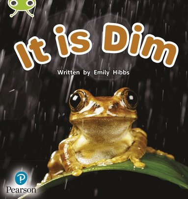 Emily Hibbs - Bug Club Phonics - Phase 2 Unit 1-2: It is Dim, Häftad