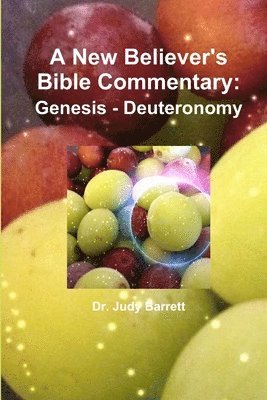 Judy Barrett - New Believer's Bible Commentary, Häftad