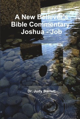 Judy Barrett - New Believer's Bible Commentary: Joshua - Job, Häftad