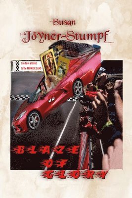 Susan Joyner-Stumpf - Blaze of Glory, Häftad
