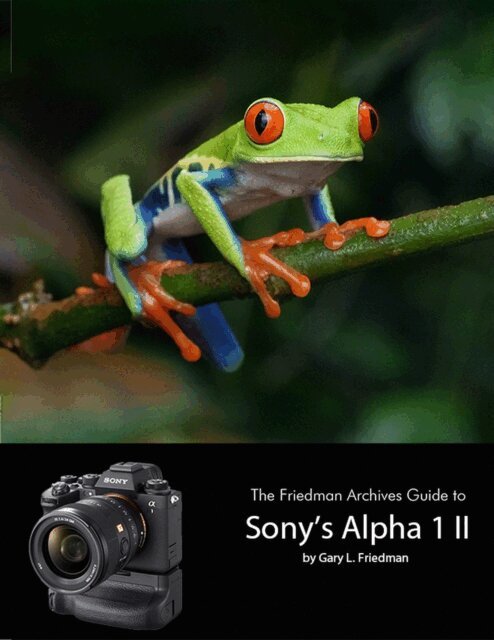 Gary L. Friedman - Friedman Archives Guide to Sony's A1 II, E-bok. Tillgänglighet: Lägg i varukorg
