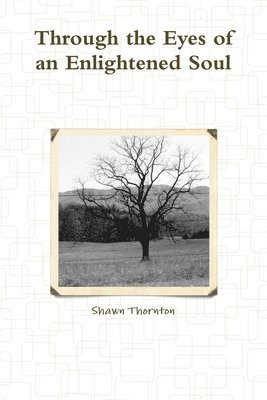 Shawn Thornton - Through the Eyes of an Enlightened Soul, Häftad. Tillgänglighet: Lägg i varukorg