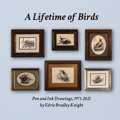 Lifetime of Birds
