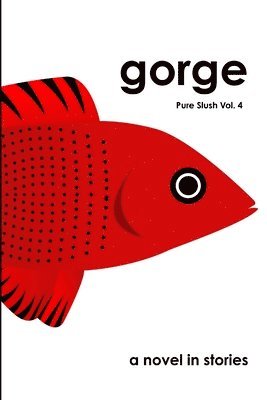 Pure Slush - Gorge a Novel in Stories Pure Slush Vol. 4, Häftad