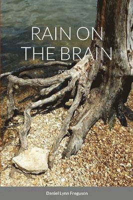 Daniel Ferguson - Rain on the Brain, Häftad. Tillgänglighet: Tillfälligt slut