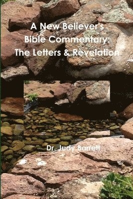 Judy Barrett - New Believer's Bible Commentary, Häftad