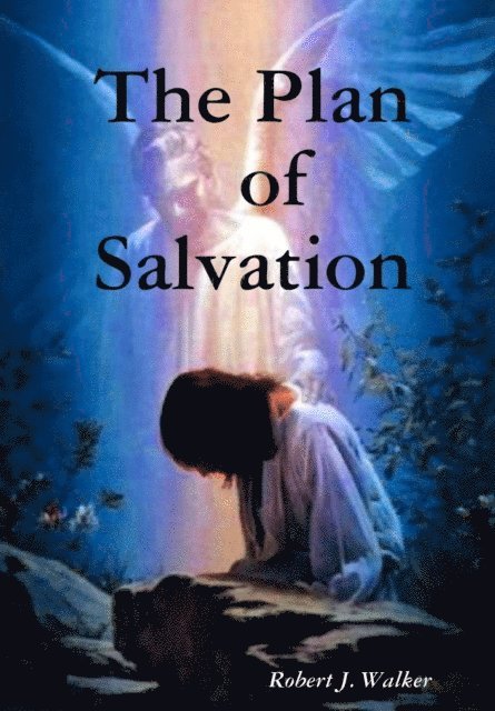 Robert J. Walker - Plan of Salvation, E-bok