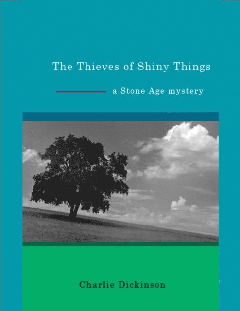 Charlie Dickinson - Thieves of Shiny Things, E-bok. Tillgänglighet: Lägg i varukorg