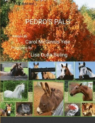 Pedro's Pals