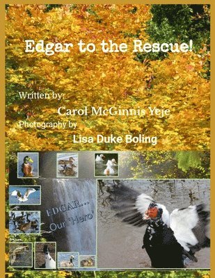 Carol McGinnis Yeje - Edgar to the rescue !, Häftad. Tillgänglighet: Lägg i varukorg