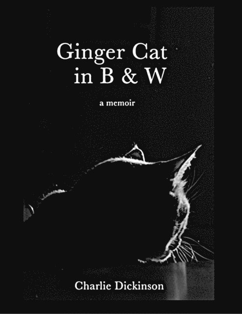 Ginger Cat in B & W