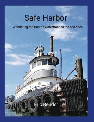 Eric Bender - Safe Harbor, Häftad. Tillgänglighet: Lägg i varukorg