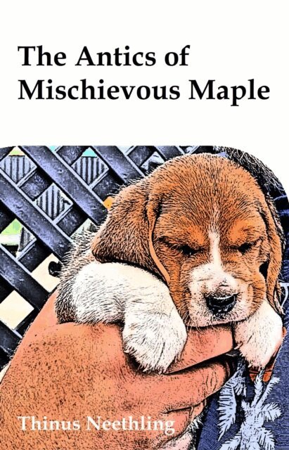 Antics of Mischievous Maple