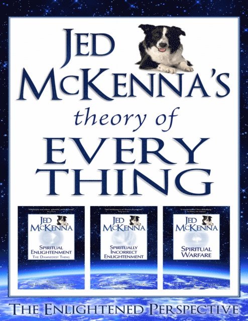 Jed McKenna - Jed McKenna's Theory of Everything: The Enlightened Perspective, E-bok