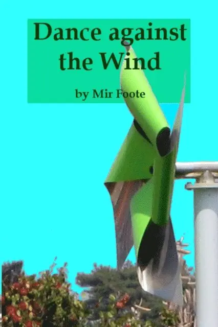 Mir Foote - Dance Against the Wind, E-bok. Tillgänglighet: Lägg i varukorg