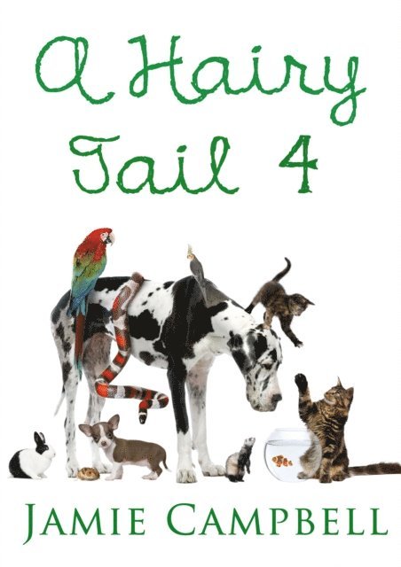 Jamie Campbell - Hairy Tail 4, E-bok