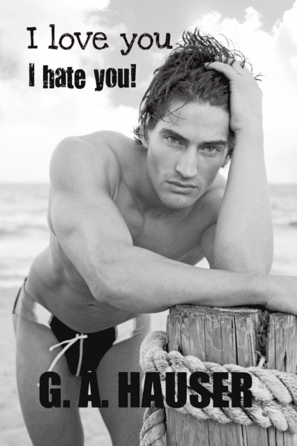 GA Hauser - I Love You I Hate You, E-bok
