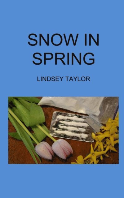 Lindsey Taylor - Snow In Spring, E-bok