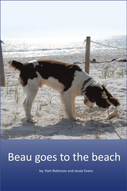 Beau Goes to the Beach.