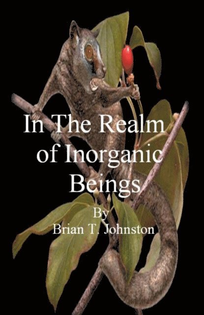 Brian Johnston - In The Realm of Inorganic Beings, E-bok