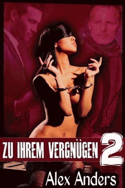 Alex Anders - Zu ihrem Vergnugen 2, E-bok