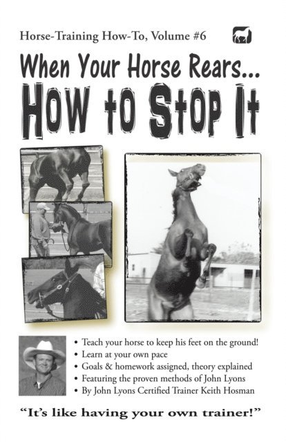 When Your Horse Rears: How to Stop It
