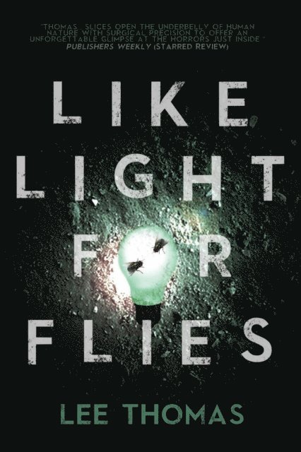 Lee Thomas - Like Light for Flies, E-bok