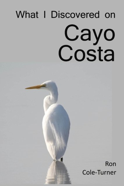 Ron Cole-Turner - What I Discovered on Cayo Costa, E-bok