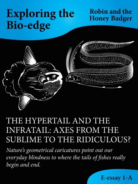 Robin and the Honey Badger - Hypertail And The Infratail: Axes From The Sublime To The Ridiculous?, E-bok. Tillgänglighet: Lägg i varukorg