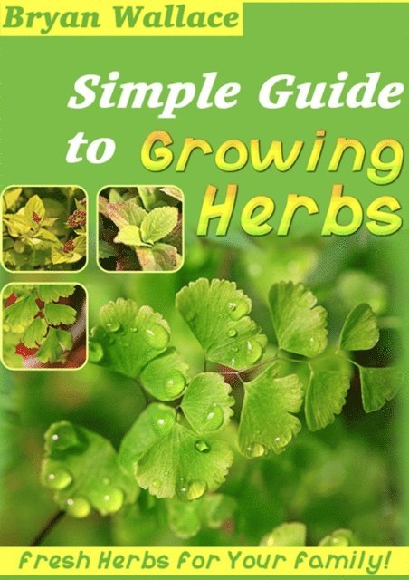 Brian Wallace - Simple Guide to Grow Herbs, E-bok