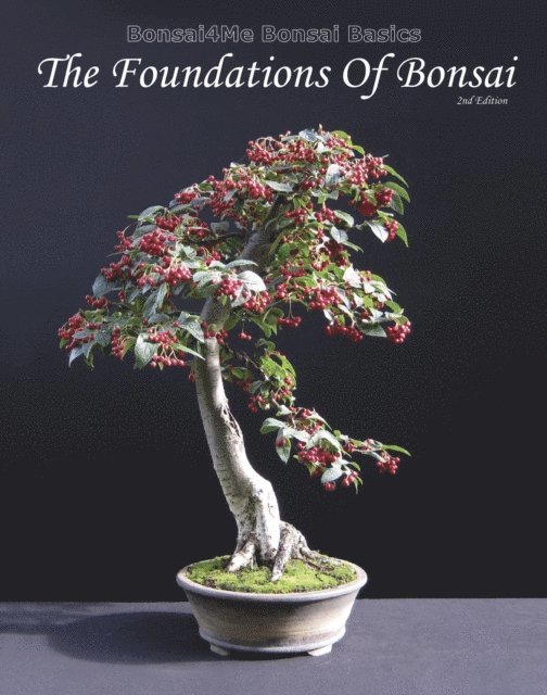 Harry Harrington - Bonsai4me: Bonsai Basics, E-bok. Tillgänglighet: Lägg i varukorg