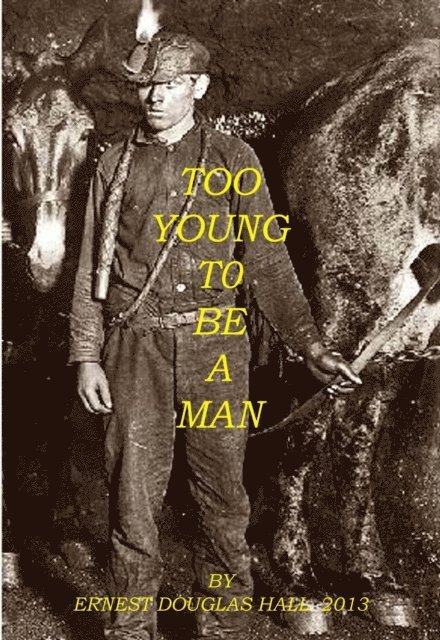Ernest Douglas Hall - Too Young to be A Man, E-bok