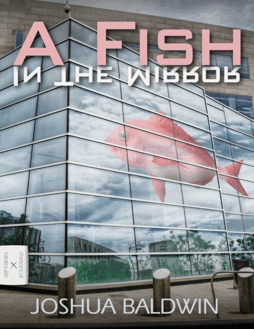 Joshua Baldwin - Fish In The Mirror, E-bok