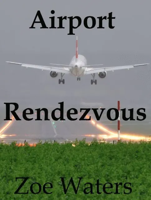 Zoe Waters - Airport Rendezvous, E-bok. Tillgänglighet: Lägg i varukorg