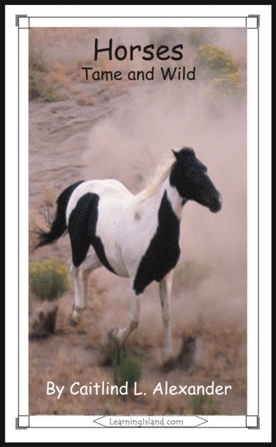 Caitlind L. Alexander - Horses: Tame and Wild, E-bok. Tillgänglighet: Lägg i varukorg