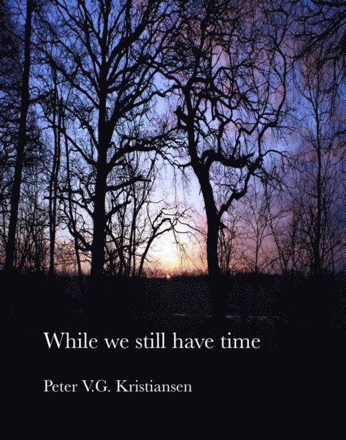 Peter V.G. Kristiansen - While We Still Have Time, E-bok