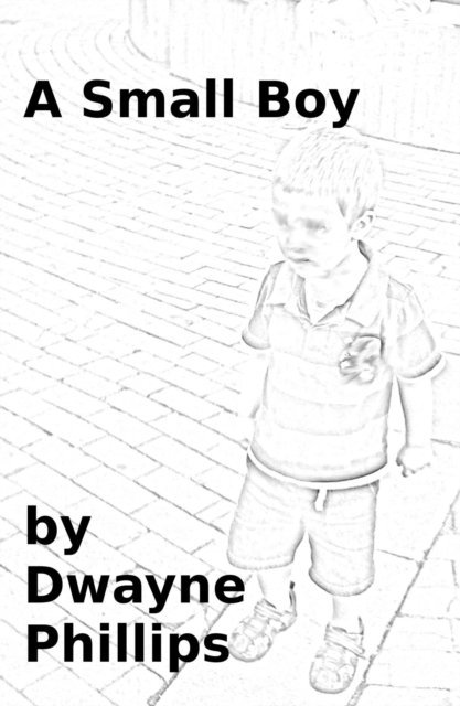 Dwayne Phillips - Small Boy, E-bok